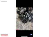 Oto Çıkma Parça / Volkswagen / Passat / Motor / Komple Motor / Çıkma Parça 