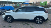 Oto Çıkma Parça / Peugeot / 3008 / Kaporta & Karoser / Sağ Arka Kapı / Çıkma Parça 