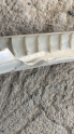 Oto Çıkma Parça / Volkswagen / Passat / Tampon / Tampon Kaplaması / Çıkma Parça 