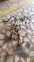 Palio 1.2 motor tesisatı