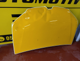 Oto Çıkma Parça / Renault / Symbol / Kaporta & Karoser / Kaput / Çıkma Parça 