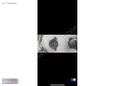 Oto Çıkma Parça / Honda / Civic / Direksiyon / Direksiyon Pompası / Çıkma Parça 
