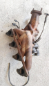 Oto Çıkma Parça / Kia / Bongo / Motor / Turbo / Çıkma Parça 