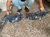 Oto Çıkma Parça / Hyundai / i20 / Tampon / Sis Farı Çerçevesi / Çıkma Parça 