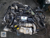 Oto Çıkma Parça / Ford / Tourneo Courier / Motor / Motor (komple) / Çıkma Parça 