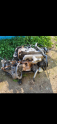 Oto Çıkma Parça / Ford / Tourneo Connect / Motor / Motor (komple) / Çıkma Parça 