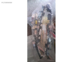 Oto Çıkma Parça / Honda / Civic / Airbag / Direksiyon Airbag / Çıkma Parça 