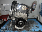 Oto Çıkma Parça / Volkswagen / Passat / Motor / V Kayışı / Sıfır Parça 