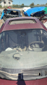 Hurda Belgeli Araçlar / Nissan / Micra