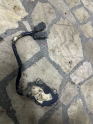 Oto Çıkma Parça / Infiniti / I30 / Şanzıman / Şanzıman Komple / Çıkma Parça 