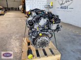 Oto Çıkma Parça / Ford / Focus / Motor / Motor (komple) / Çıkma Parça 