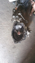 Opel combo c,Opel Corsa c 1.7 manuel sanzİman yedek parça