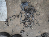 Oto Çıkma Parça / Volvo / S40 / Elektrik / Elektrik Tesisatı / Çıkma Parça 