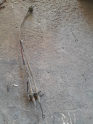 Oto Çıkma Parça / Hyundai / H100 / Vites / Vites Halatı / Çıkma Parça 