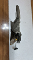 Oto Çıkma Parça / Citroen / C5 / Fren / El Fren Tabancası / Çıkma Parça 