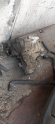 Oto Çıkma Parça / Mazda / 121 / Şanzıman / Şanzıman Komple / Çıkma Parça 