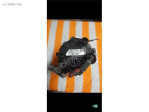 Oto Çıkma Parça / Fiat / Albea / Elektrik / Şarj Dinamosu / Çıkma Parça 