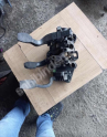 1.3 Opel Corsa D pedal set