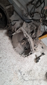 Oto Çıkma Parça / Opel / Insignia / Şanzıman / Şanzıman Komple / Çıkma Parça 