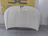 Oto Çıkma Parça / Renault / Megane / Kaporta & Karoser / Kaput / Çıkma Parça 