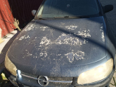 1995 opel omega kaput