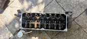 Oto Çıkma Parça / Mazda / 323 / Motor / Silindir Kapağı / Çıkma Parça 