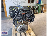 Oto Çıkma Parça / Ford / Kuga / Motor / Motor (komple) / Çıkma Parça 