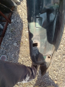 Oto Çıkma Parça / Opel / Astra / Kaporta & Karoser / Sol Arka Kapı / Çıkma Parça 