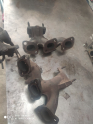 Oto Çıkma Parça / Nissan / Maxima / Egzoz / Egzoz Manifoldu / Çıkma Parça 