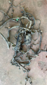 2005 honda civic hb motor içi tesisatı komple