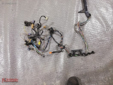 Oto Çıkma Parça / Ford / Focus / Elektrik / Elektrik Tesisatı / Çıkma Parça 