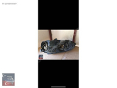 Oto Çıkma Parça / Volkswagen / Golf / Far & Stop / Sağ Ön Far / Çıkma Parça 