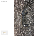 Ford Transit Orjinal Çıkma Hava Filtre Borusu EFE 05542080