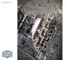 Oto Çıkma Parça / Audi / A6 / Motor / Motor (komple) / Çıkma Parça 