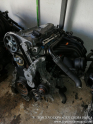 Oto Çıkma Parça / Audi / A4 / Motor / Motor (komple) / Çıkma Parça 