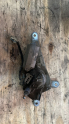Oto Çıkma Parça / Renault / Kangoo / Oto Cam / Cam Motoru / Çıkma Parça 