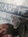 Oto Çıkma Parça / Nissan / Primera / Elektrik / Elektrik Tesisatı / Çıkma Parça 
