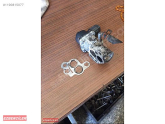 Oto Çıkma Parça / Ford / Mondeo / Motor / EGR / Çıkma Parça 