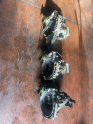 Oto Çıkma Parça / Volkswagen / Polo / Şanzıman / Şanzıman Komple / Çıkma Parça 