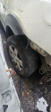 Oto Çıkma Parça / Chevrolet / Captiva / Jant & Lastik / Çelik Jant / Çıkma Parça 
