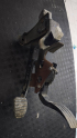 RENAULT CLİO FREN - GAZ PEDAL SETİ
