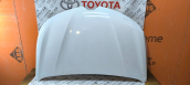 Oto Çıkma Parça / Renault / Taliant / Kaporta & Karoser / Kaput / Çıkma Parça 