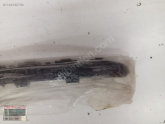 Oto Çıkma Parça / Honda / Civic / Tampon / Tampon Braketi / Sıfır Parça 