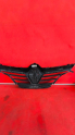 RENAULT MEGANE 4 ÖN PANJUR 622563276R