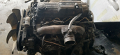 Oto Çıkma Parça / Kia / Besta / Motor / Motor (komple) / Çıkma Parça 