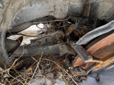 Oto Çıkma Parça / Volkswagen / Passat / Alt Takım / Arka Dingil / Çıkma Parça 