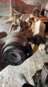Oto Çıkma Parça / Hyundai / Accent / Direksiyon / Direksiyon Mili / Çıkma Parça 