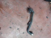 Oto Çıkma Parça / Renault / Clio / Motor / Turbo Hortumu / Çıkma Parça 