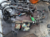 Oto Çıkma Parça / Ford / Focus / Elektrik / Elektrik Tesisatı / Çıkma Parça 