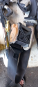 Oto Çıkma Parça / Honda / Jazz / Airbag / Emniyet Kemeri / Çıkma Parça 